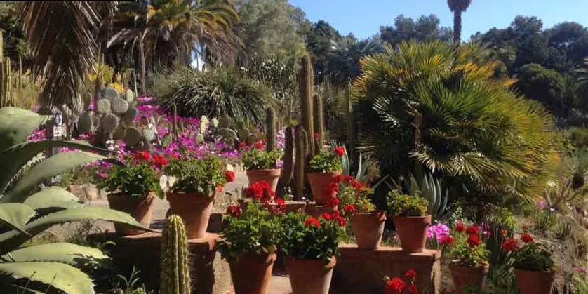 Jardín Mediterráneo: Diseño, Plantas y Decoración de 2024 10